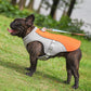 🔥 Last Day Sale 49% OFF 🔥 Ice Cooling Dog Protective Vest Summer 2023