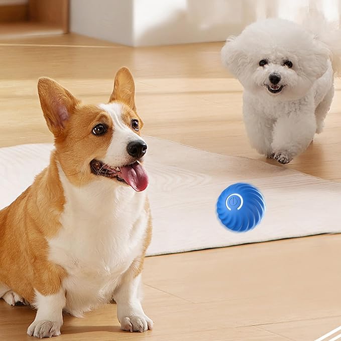Automatic Smart Teasing Dog Ball That Can't Be Bitten, Smart Interactive  Dog Toy